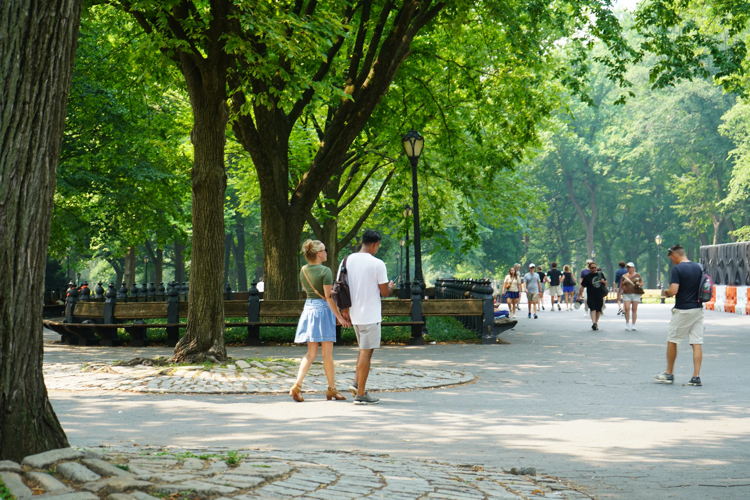 Central Park Proposal 01, photographed in Central Park, NY