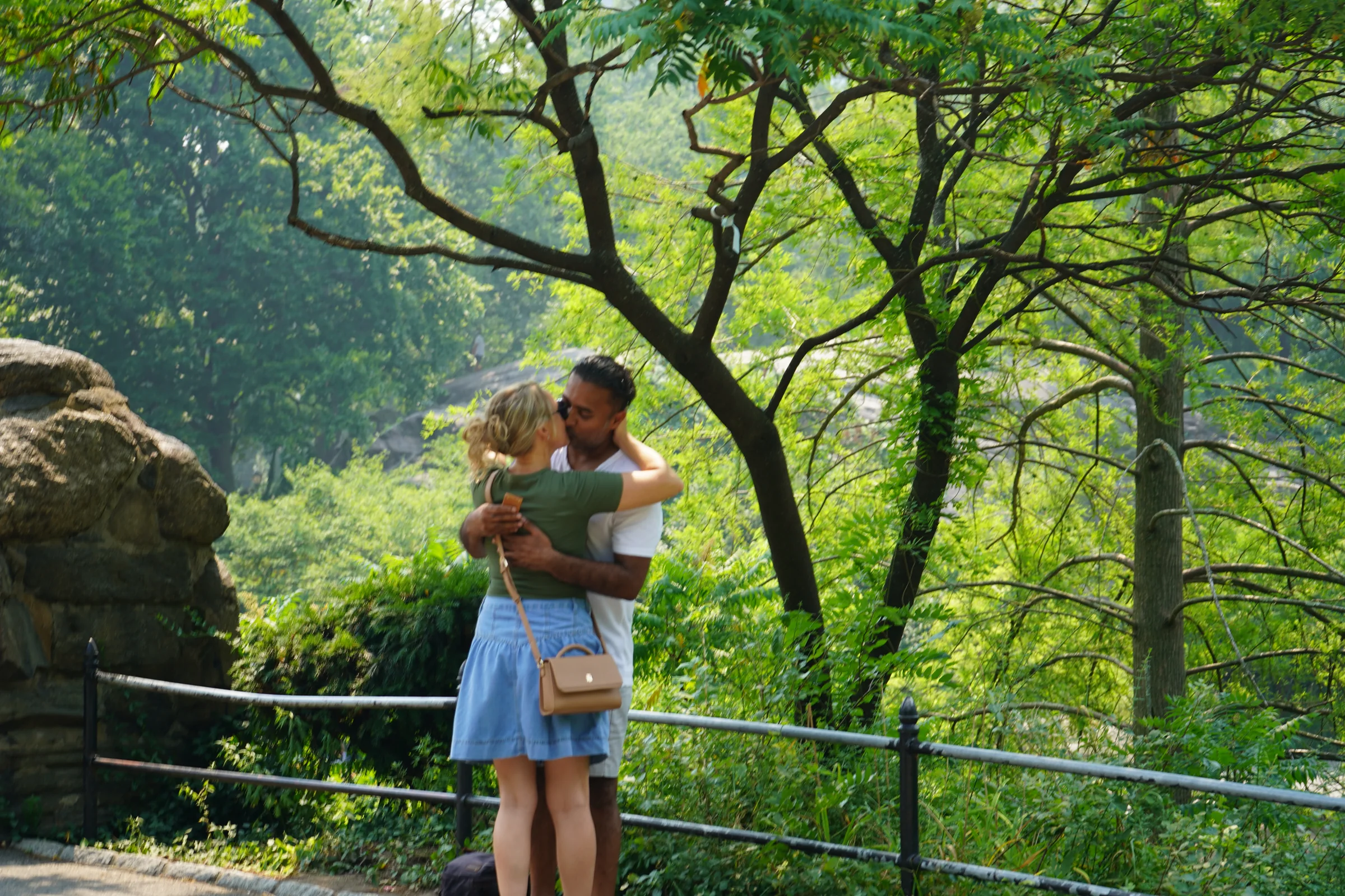 Central Park Proposal 03, photographed in Central Park, NY