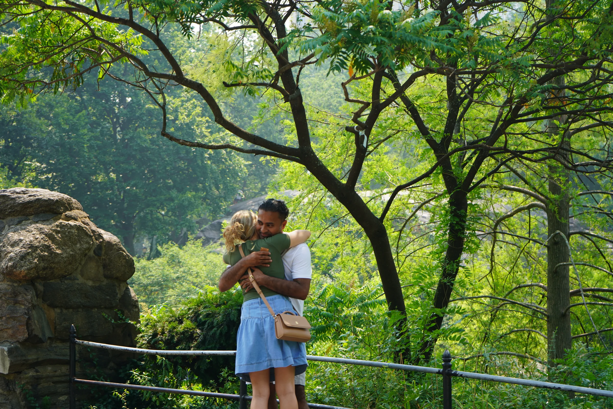 Central Park Proposal 04, photographed in Central Park, NY
