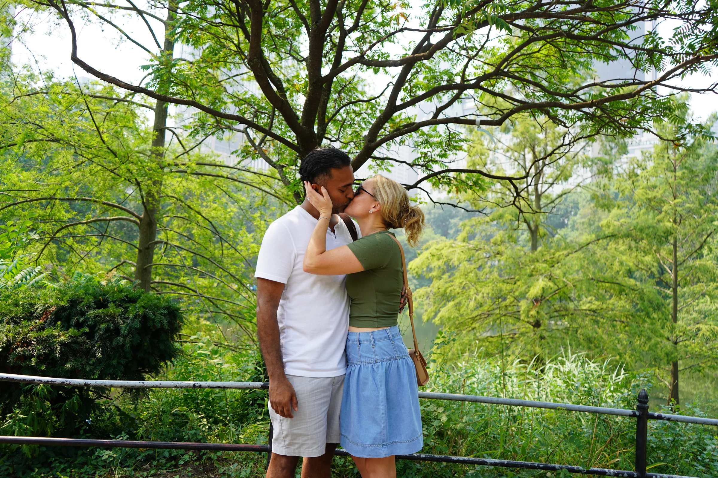Central Park Proposal 08, photographed in Central Park, NY
